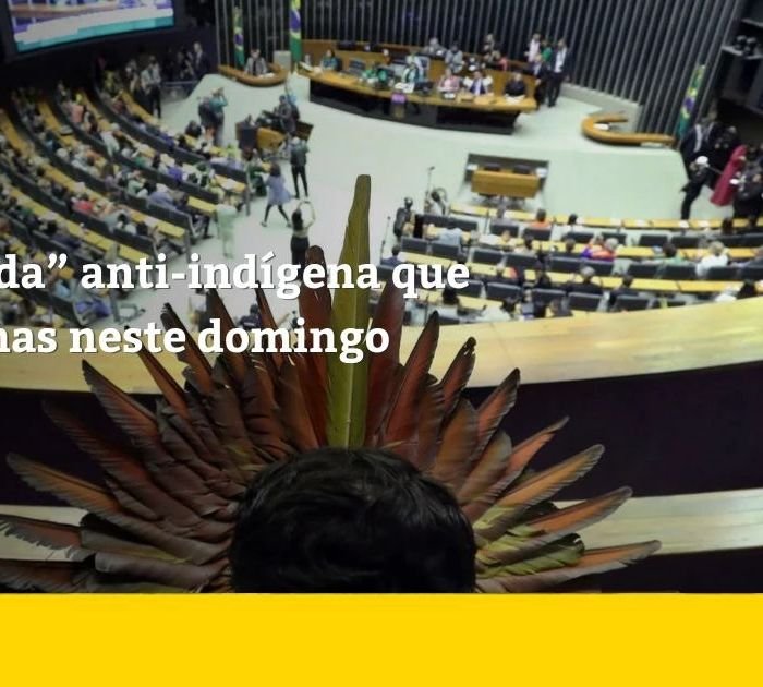 Levantamento do Cimi mapeia bancada anti-indígena que disputa reeleição neste domingo