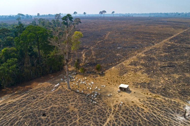 Invasão deixa 500 pessoas em terra isolada no Pará após criação de APA sobreposta