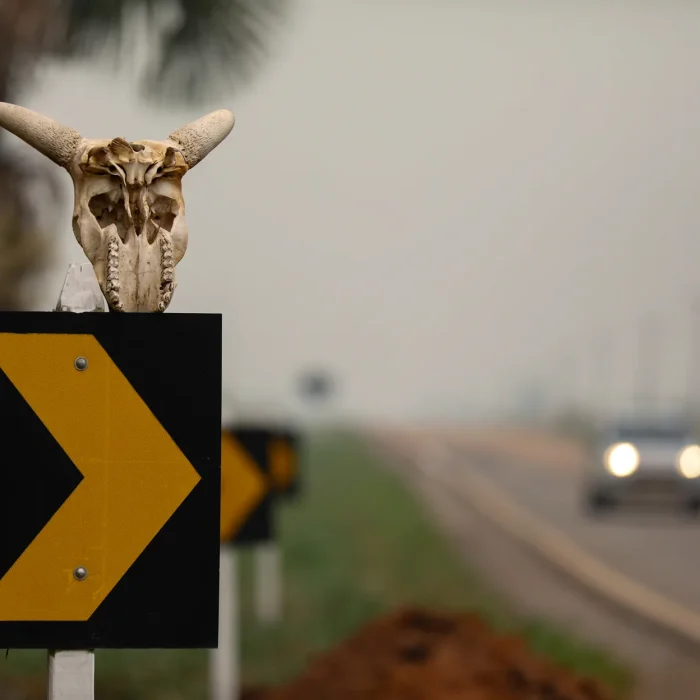 Bolsonarismo amplia controle sobre estados da Amazônia após eleições