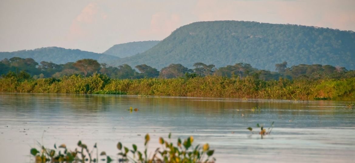 Cerrado perde 13,9 milhões de hectares de mata ciliar em 41 anos, aponta MapBiomas