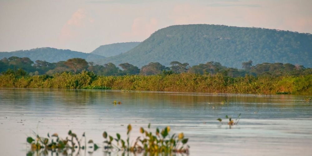 Cerrado perde 13,9 milhões de hectares de mata ciliar em 41 anos, aponta MapBiomas