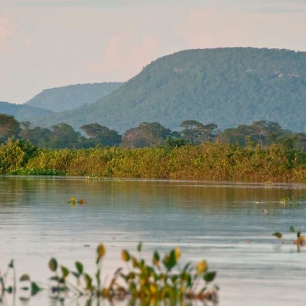 Cerrado perde 13,9 milhões de hectares de mata ciliar em 41 anos, aponta MapBiomas