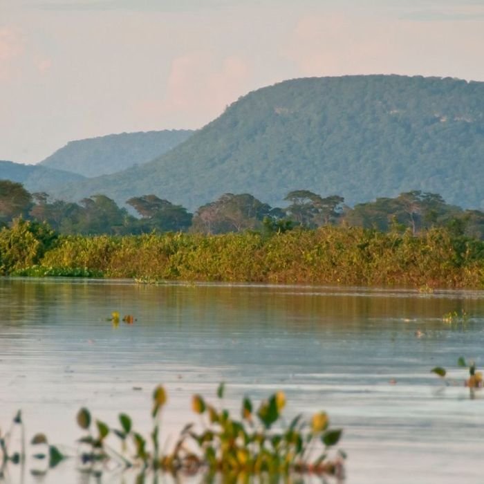 Cerrado perde 13,9 milhões de hectares de mata ciliar em 41 anos, aponta MapBiomas