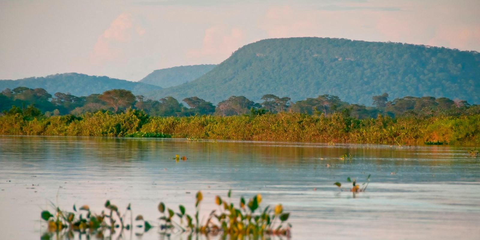 Cerrado perde 13,9 milhões de hectares de mata ciliar em 41 anos, aponta MapBiomas