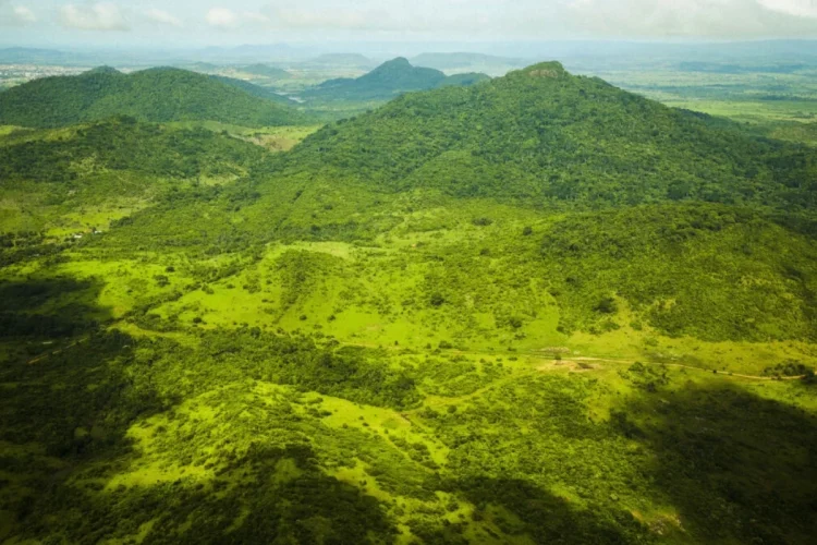 Estudo aponta Amazônia como região mais vulnerável a novo padrão de seca e calor