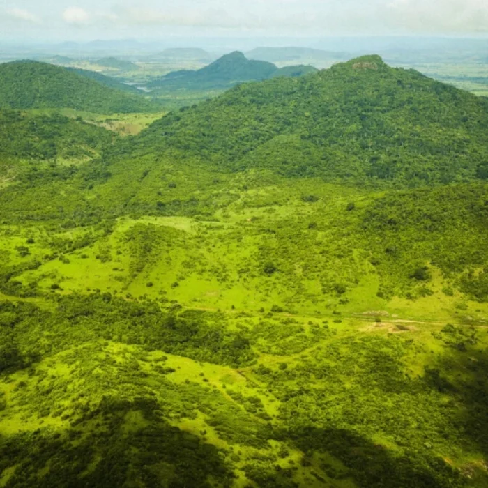 Estudo aponta Amazônia como região mais vulnerável a novo padrão de seca e calor