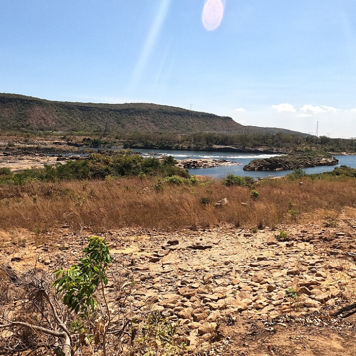 Cerrado perde 13,9 milhões de hectares de vegetação nas margens dos rios em 40 anos