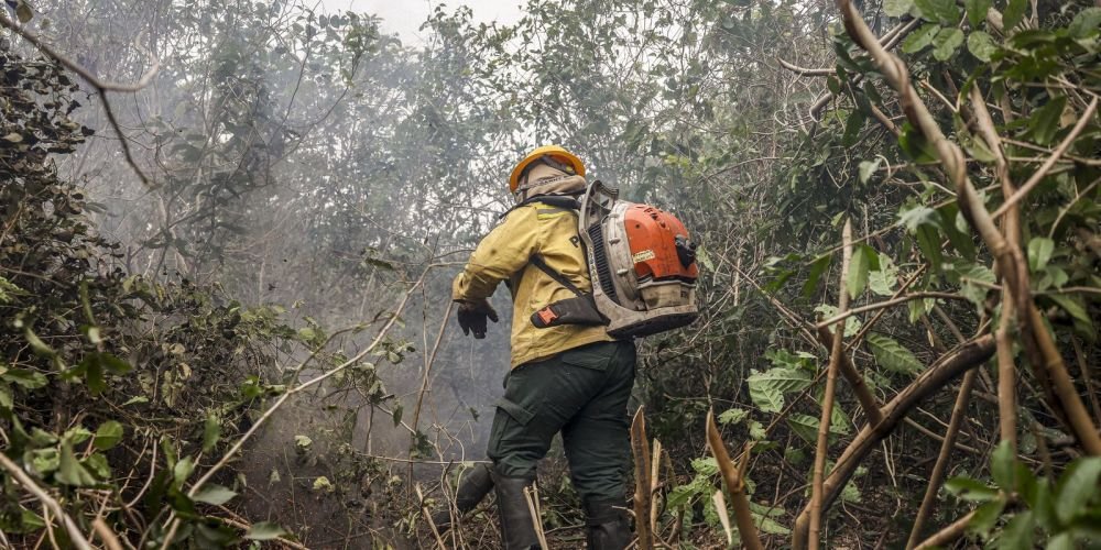 Amazonas registra 540 focos de incêndio em 48 horas; ministro aponta ação humana