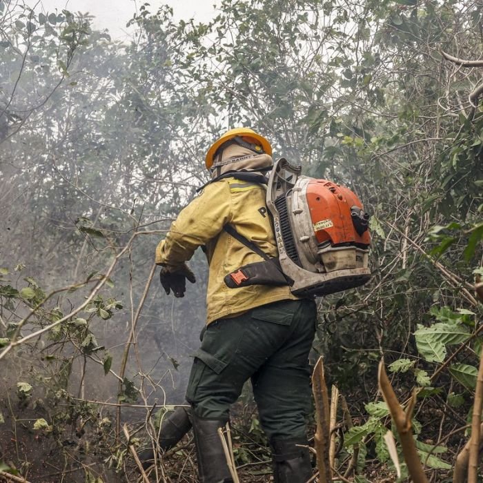 Amazonas registra 540 focos de incêndio em 48 horas; ministro aponta ação humana