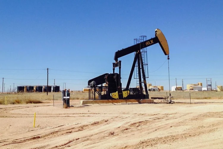 Plano de Flávio Bolsonaro propõe enfraquecer Ibama, Funai e liberar fracking