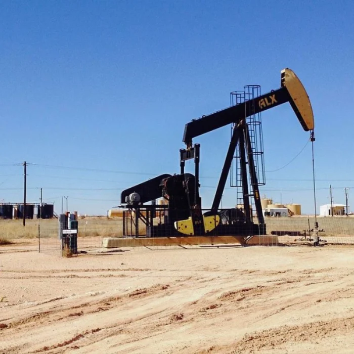 Plano de Flávio Bolsonaro propõe enfraquecer Ibama, Funai e liberar fracking
