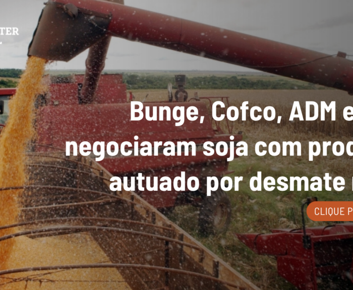 Bunge, Cofco, ADM e CHS compram soja de produtor autuado por desmate no Piauí