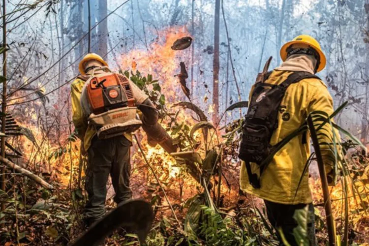 Governo federal reconhece emergência em 36 municípios do Amazonas por incêndios