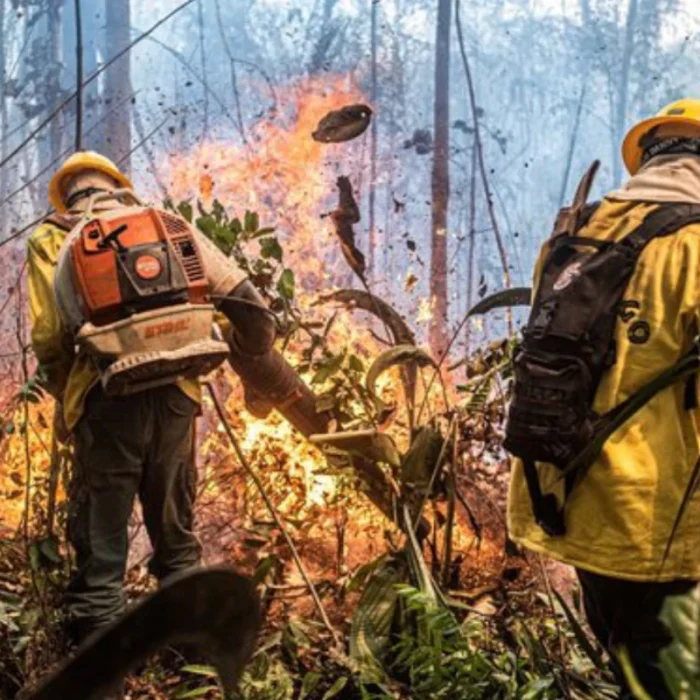 Governo federal reconhece emergência em 36 municípios do Amazonas por incêndios