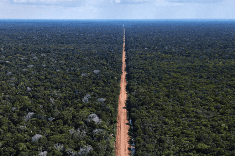 Governo cria quatro reservas na Amazônia para compensar pavimentação da BR-319
