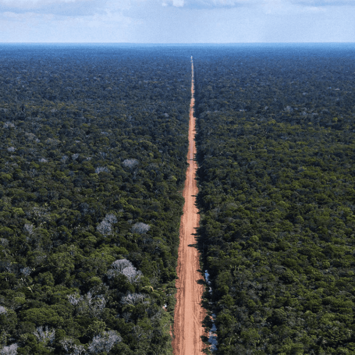 Governo cria quatro reservas na Amazônia para compensar pavimentação da BR-319