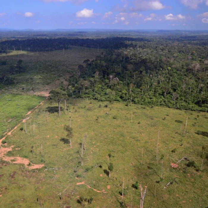 Amazônia tem menor desmatamento em 41 anos, mas agropecuária avança sobre Áreas Protegidas