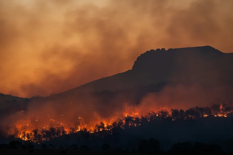 Incêndios na Indonésia destroem quase 300 casas e forçam fuga de orangotangos