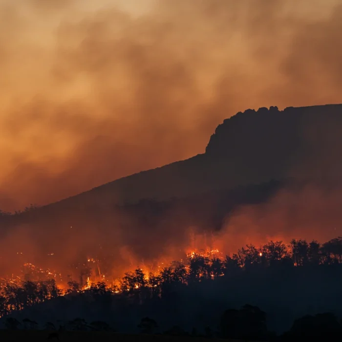 Incêndios na Indonésia destroem quase 300 casas e forçam fuga de orangotangos