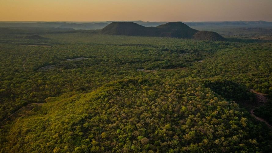 Projeto mapeia corredores ecológicos para onça-pintada no Cerrado goiano