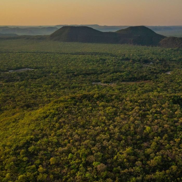 Projeto mapeia corredores ecológicos para onça-pintada no Cerrado goiano
