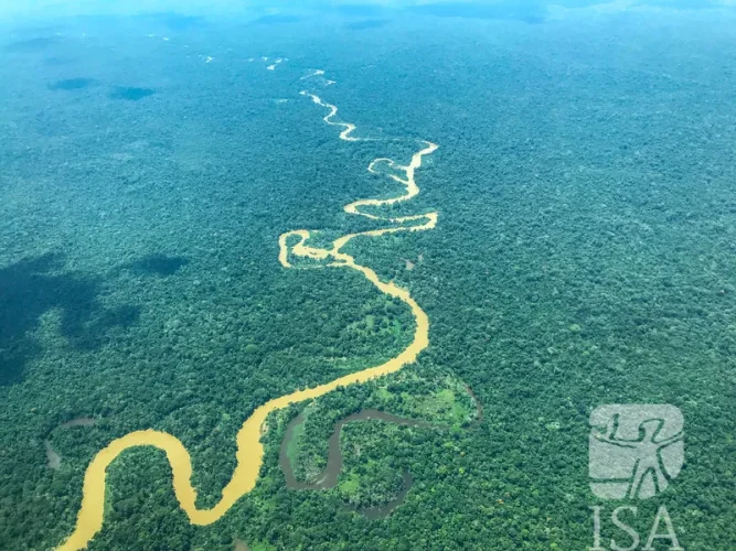 Desmatamento na Amazônia cai 41% e atinge menor nível já registrado pelo Inpe