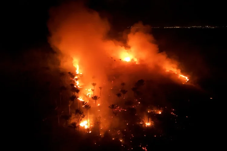 Rádio SUMAÚMA denuncia grileiros que ameaçam invadir Apyterewa e incêndios na Amazônia