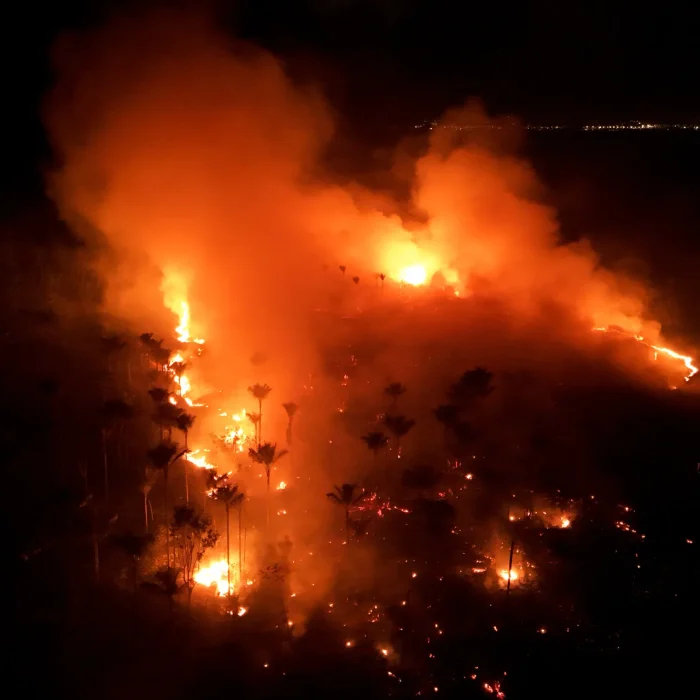 Rádio SUMAÚMA denuncia grileiros que ameaçam invadir Apyterewa e incêndios na Amazônia