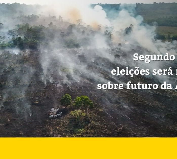 Segundo turno vira referendo sobre o futuro da Amazônia, dizem cientistas