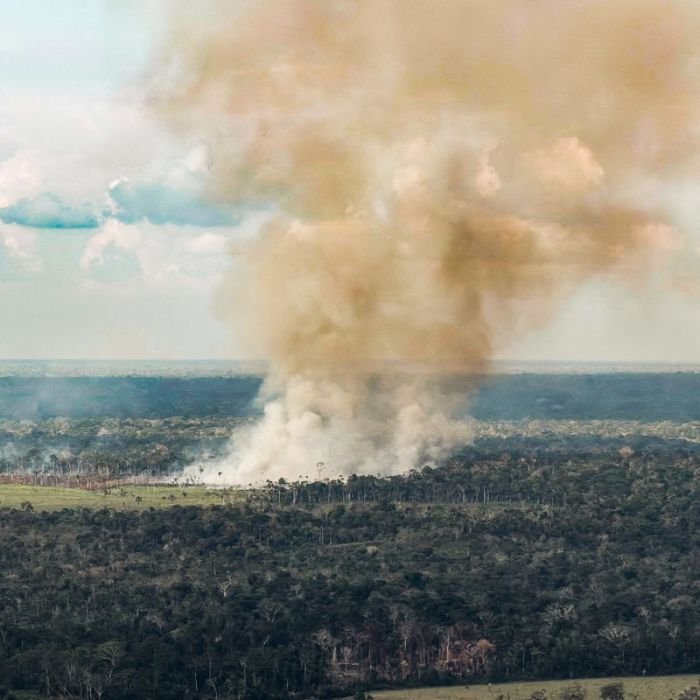 Brasil reduz emissões líquidas de gases-estufa ao menor nível desde 2012