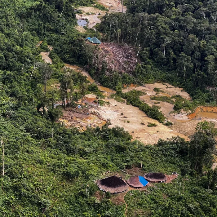 Aliados de Flávio Bolsonaro no garimpo ilegal acendem alerta para Amazônia