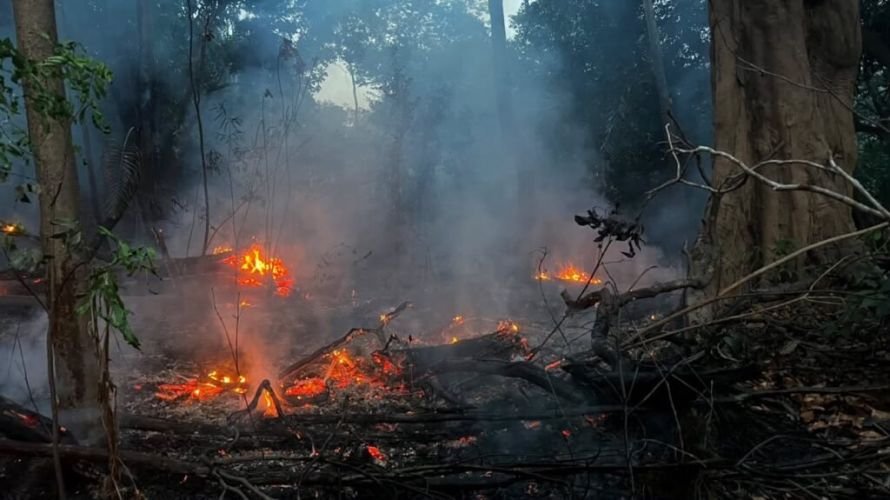 Indígenas e ribeirinhos denunciam onda de incêndios criminosos no Amazonas após 1º turno