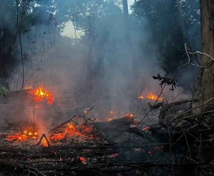 Indígenas e ribeirinhos denunciam onda de incêndios criminosos no Amazonas após 1º turno