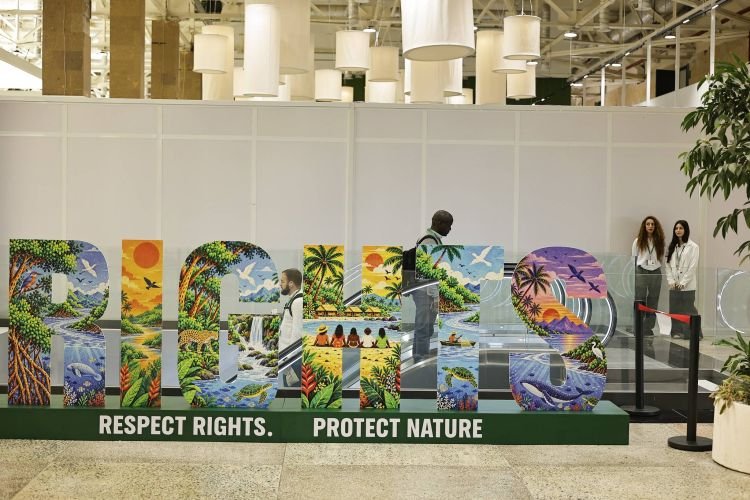 Holanda promete até US$ 500 milhões a fundo global de florestas tropicais