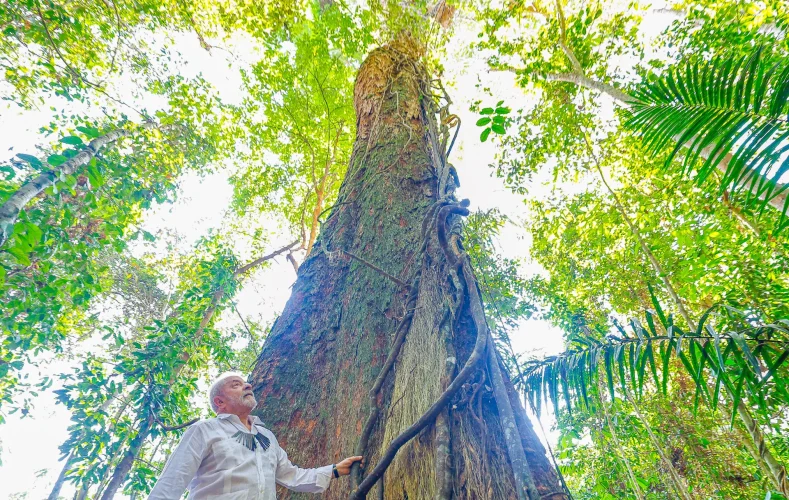 Reeleição de Lula afasta ameaça à Amazônia, mas desafios seguem, aponta InfoAmazonia