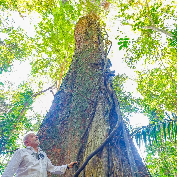 Reeleição de Lula afasta ameaça à Amazônia, mas desafios seguem, aponta InfoAmazonia