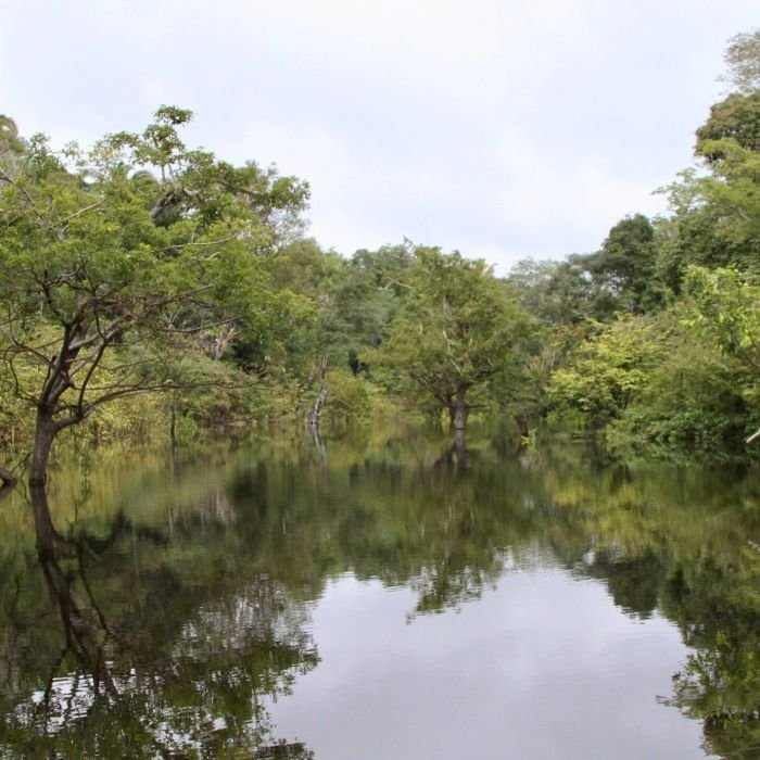 Amazônia perde área úmida do tamanho da Bélgica em 40 anos, aponta estudo