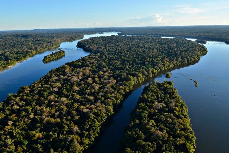 Desmatamento em unidades de conservação da Amazônia cai 17% e é o menor desde 2008