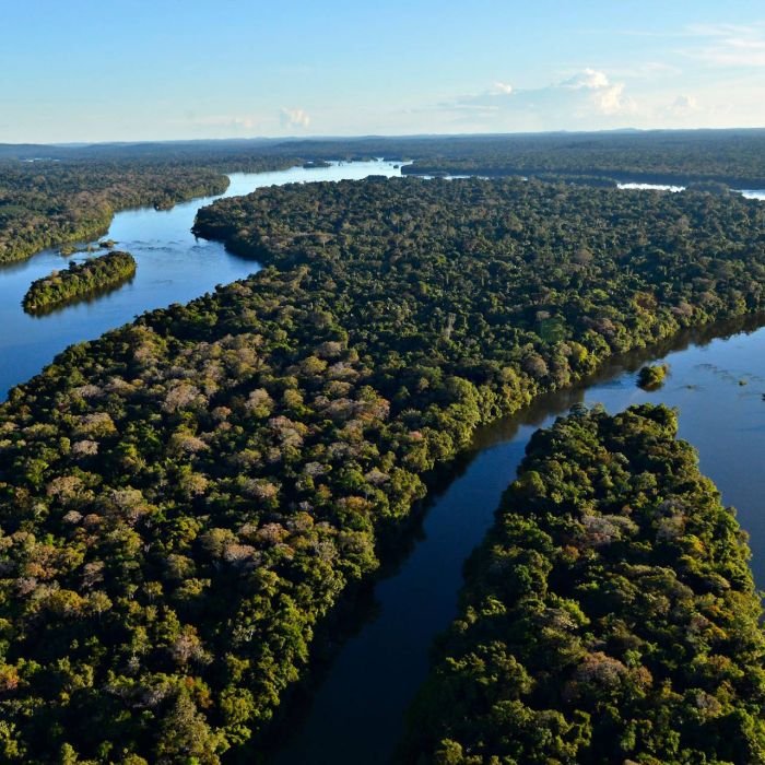 Desmatamento em unidades de conservação da Amazônia cai 17% e é o menor desde 2008
