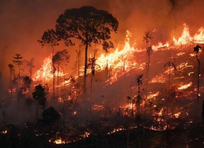 Fogo, grilagem e invasões na Amazônia e o avanço do bolsonarismo no Norte